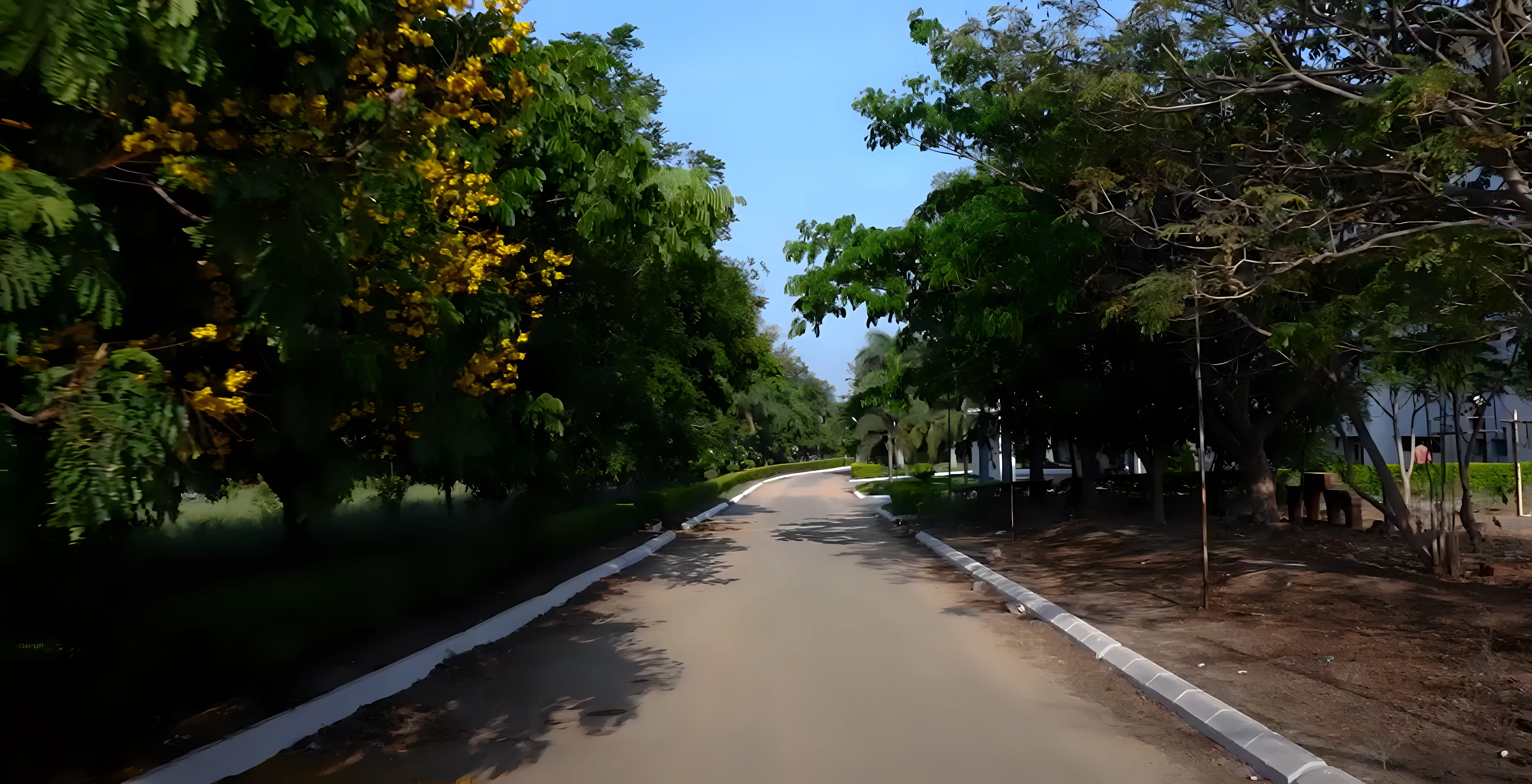 CIET Coimbatore campus photo 5